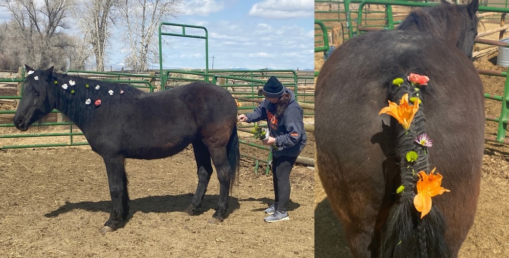 equine's tail braided with flowers