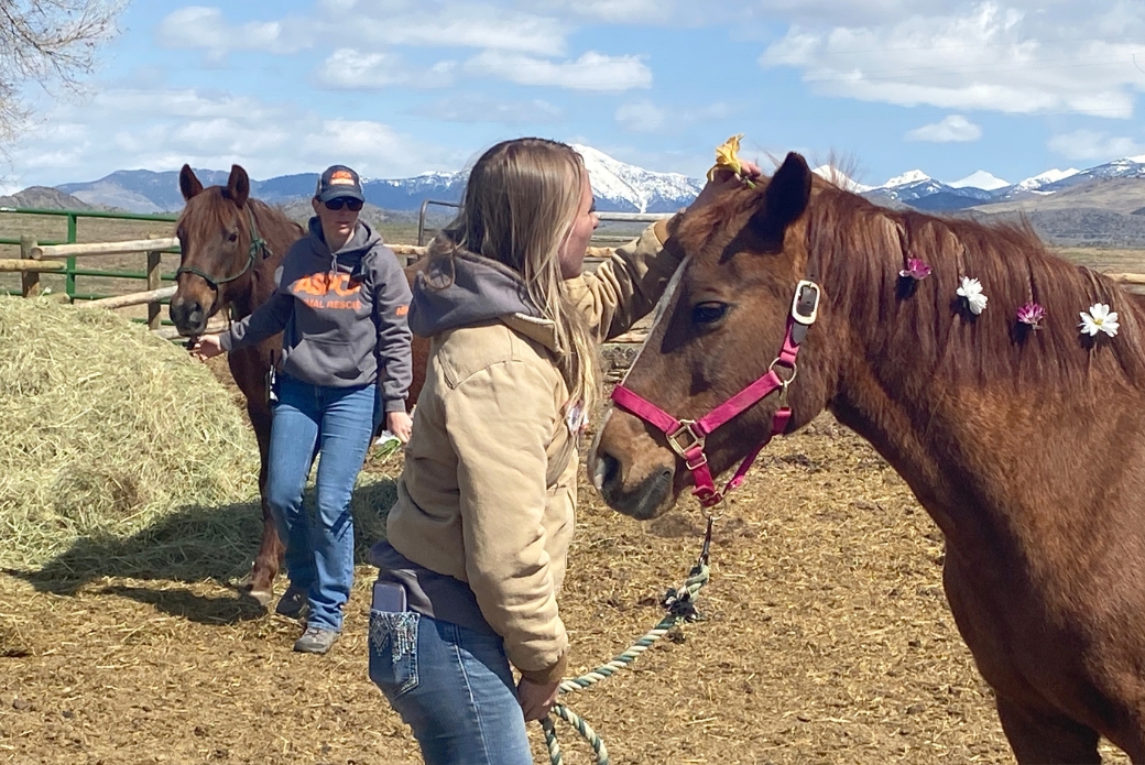 ASPCA employee and professional responder with equines