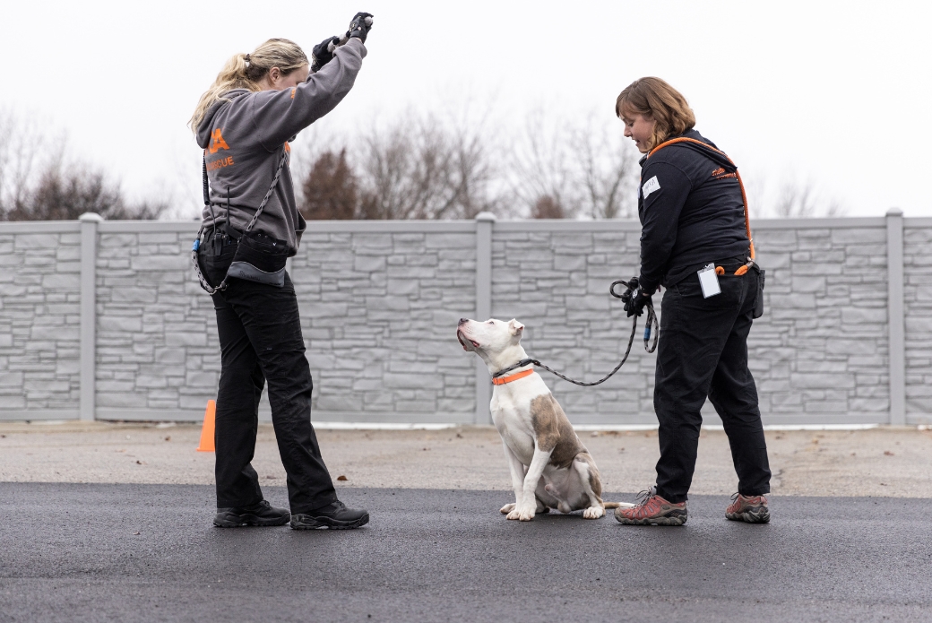 two women outside training a dog