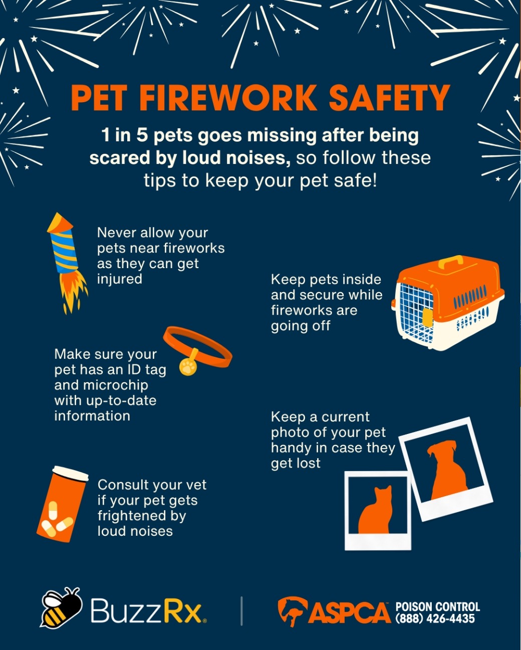 pet firework safety infographic