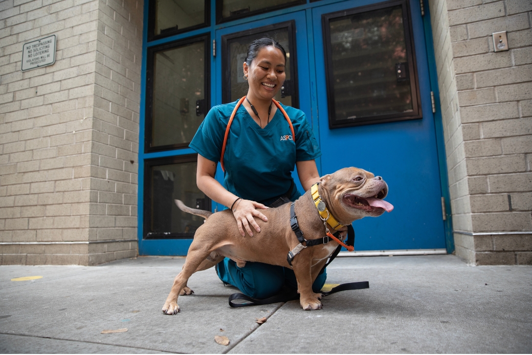 Animal Care Technician outside with a dog