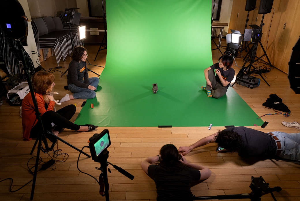 animal photographer and videographer taking photos of a kitten