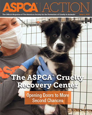 Issue #1, 2023 Issue #1, 2023