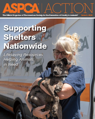 Issue #1, 2024 Issue #2, 2024