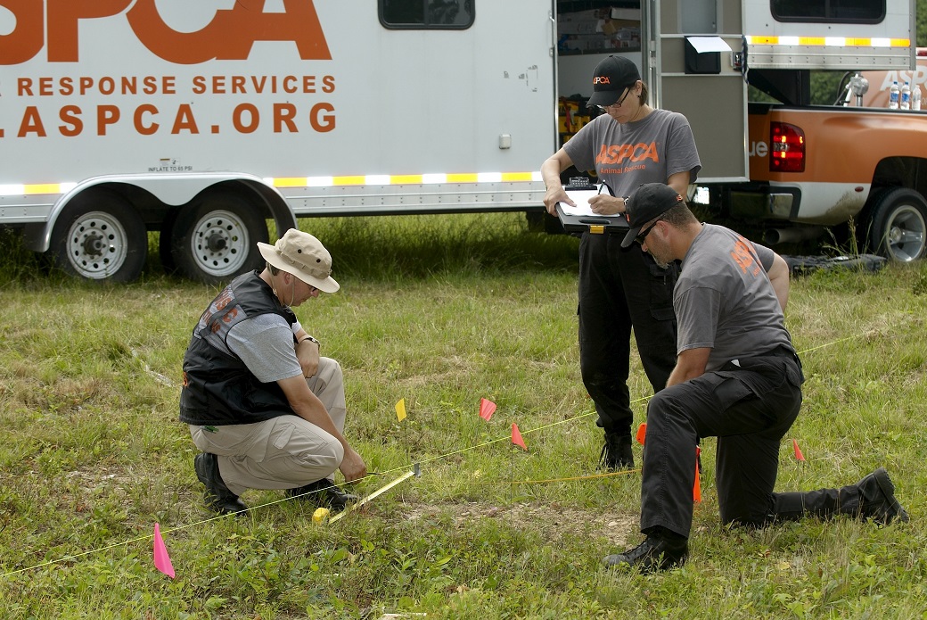 The Forensics team takes measurements at a crime scene.
