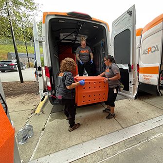 moving rescued pets into transports