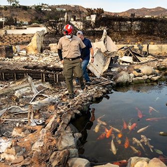 Responders at a koi pond