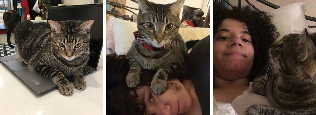 Left: Dora on Roma’s desk and at right, with Roma.