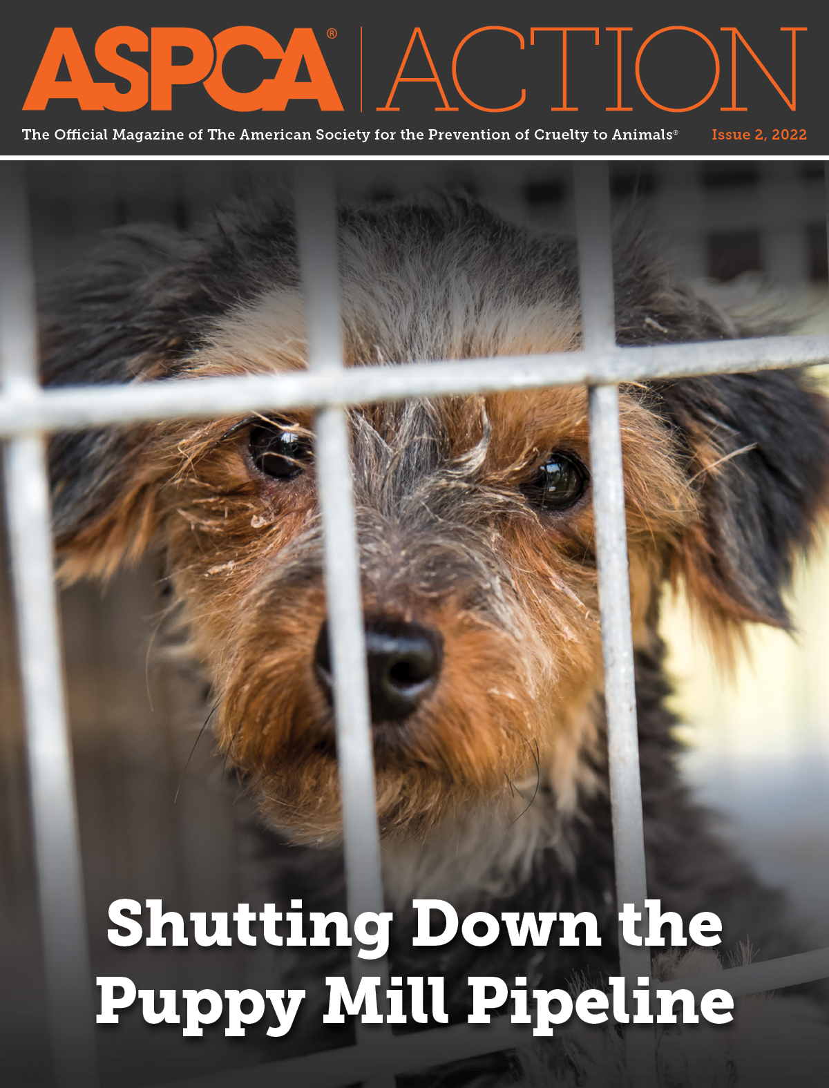 Issue #2, 2022 Issue #2, 2022