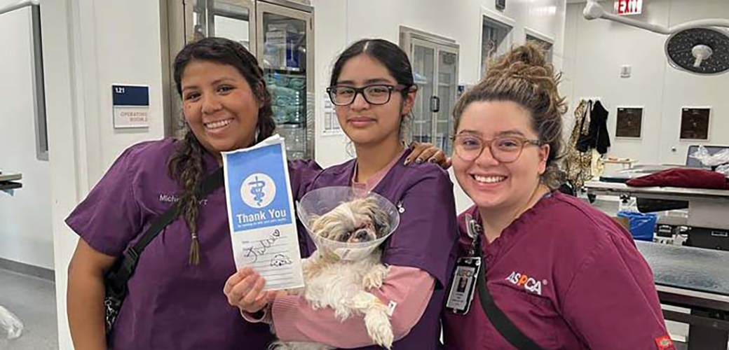 Licensed veterinary technicians Michelle Plata, Favi Olmedo, and Alondra Cruz with Julie following her surgery 