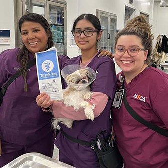 Licensed veterinary technicians Michelle Plata, Favi Olmedo, and Alondra Cruz with Julie following her surgery 