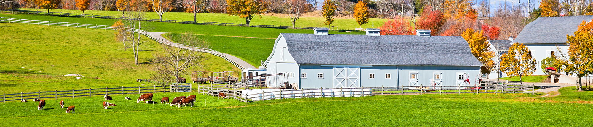 Shop With Your Heart